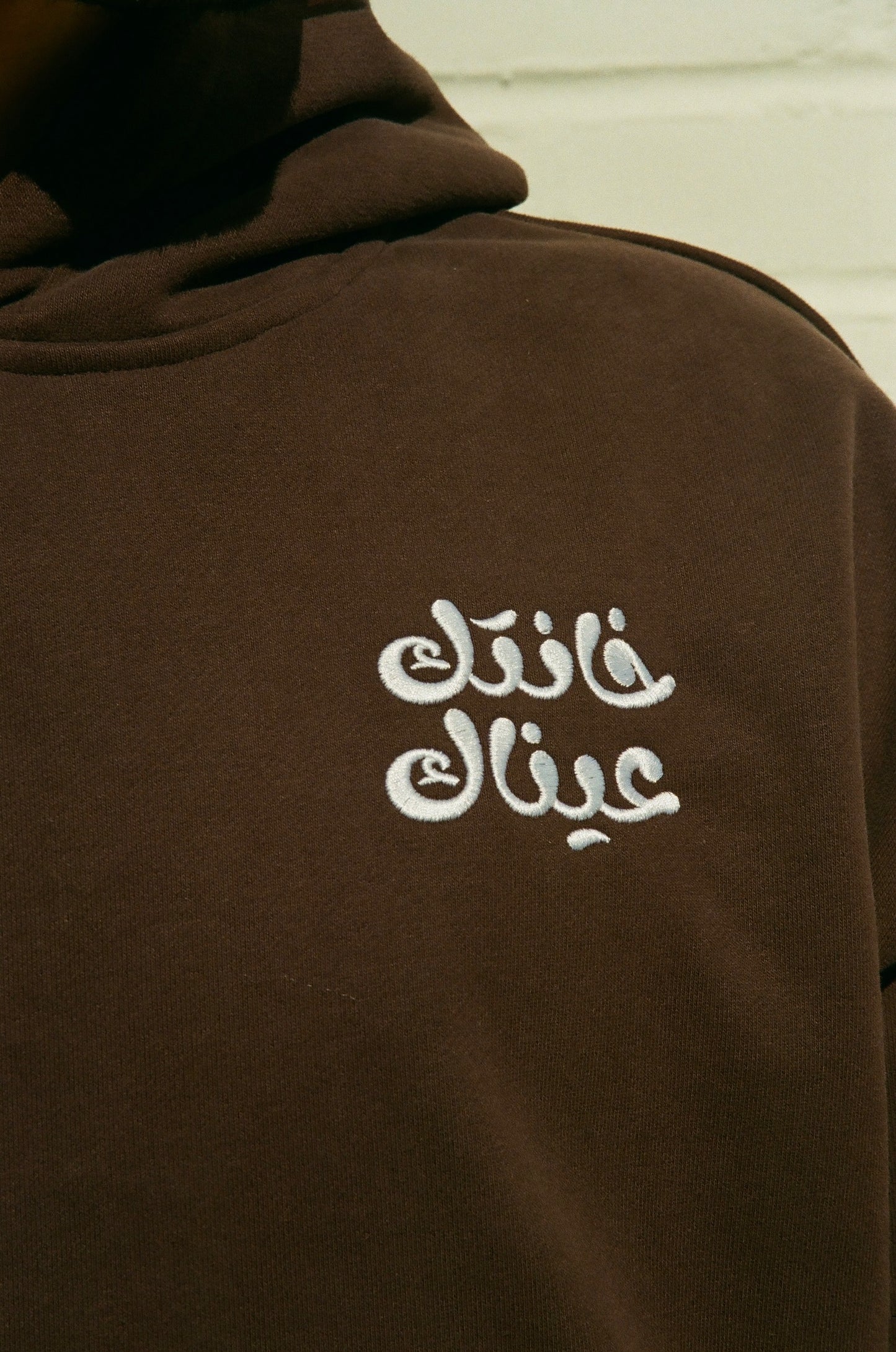 "Your Eyes Betrayed You" Heavyweight Hoodie - Mocha Brown